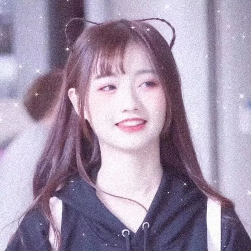最爱喵星人:我猫威武